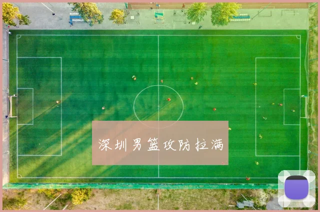 深圳男篮攻防拉满