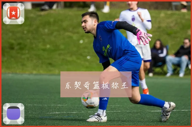 东契奇篮板称王