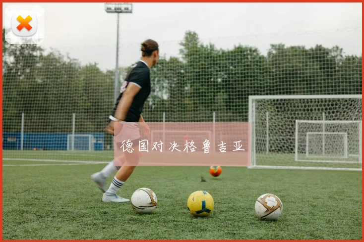 德国对决格鲁吉亚