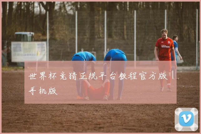 世界杯竞猜正规平台教程官方版｜手机版