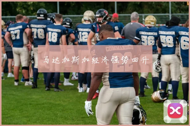 马达加斯加经济强势回升