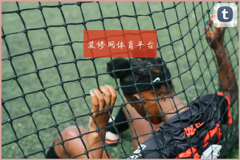装修网体育平台