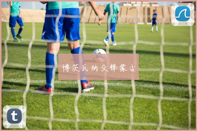 博茨瓦纳交锋蒙古