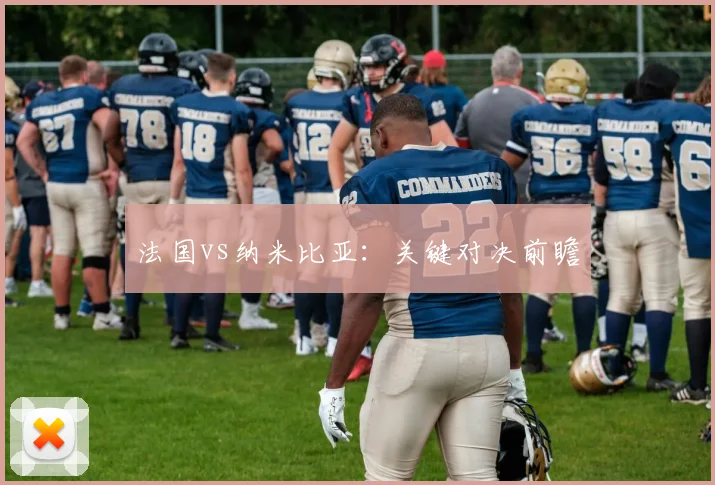 法国vs纳米比亚：关键对决前瞻