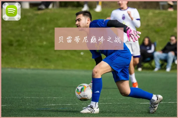 贝雷蒂尼巅峰之战