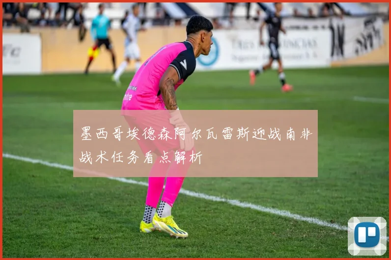 墨西哥埃德森阿尔瓦雷斯迎战南非战术任务看点解析